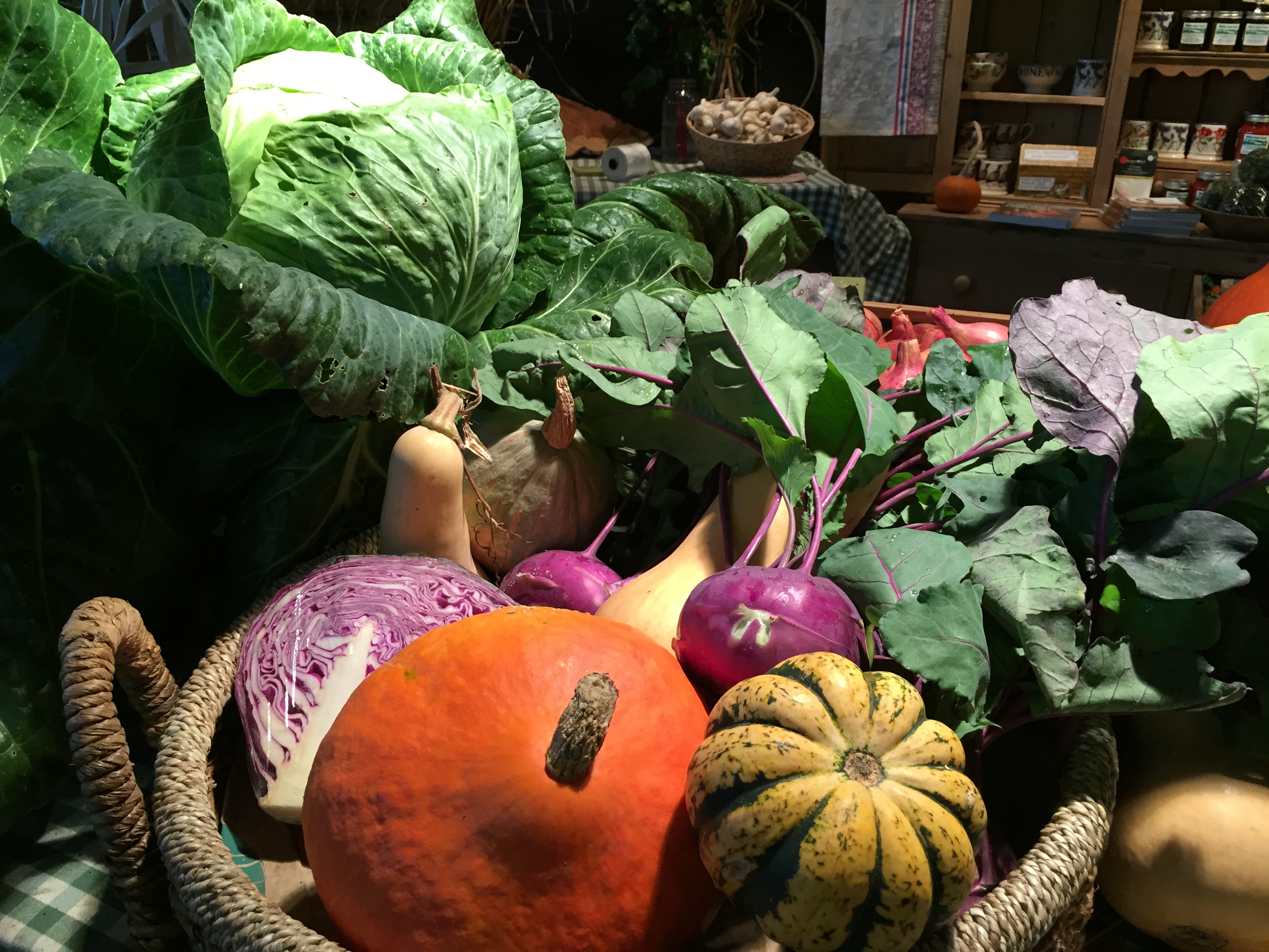 cabbage, kohlrabi& pumpkin - White Gate Farm